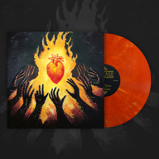 Martröð "Draumsýnir eldsins" 12"